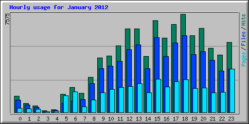 Hourly usage for January 2012
