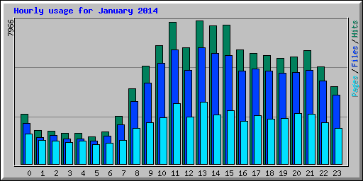 Hourly usage for January 2014