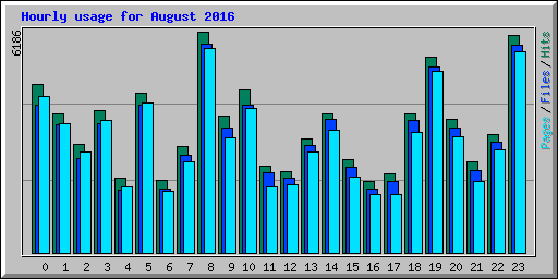 Hourly usage for August 2016