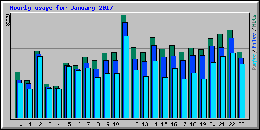 Hourly usage for January 2017