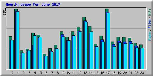 Hourly usage for June 2017