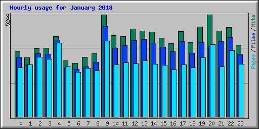 Hourly usage for January 2018